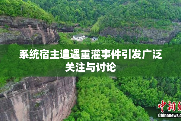 系统宿主遭遇重灌事件引发广泛关注与讨论