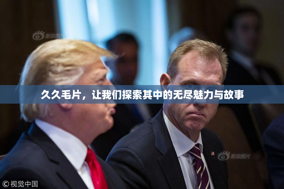 久久毛片，让我们探索其中的无尽魅力与故事