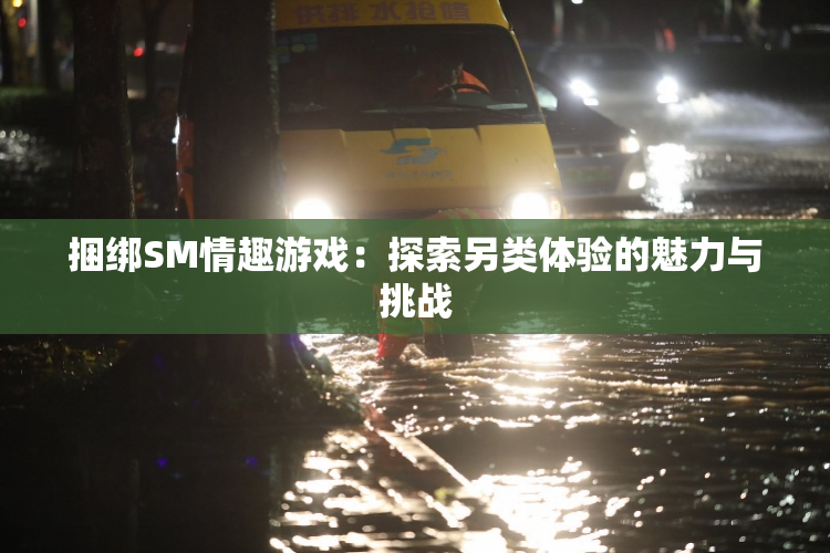 捆绑SM情趣游戏：探索另类体验的魅力与挑战