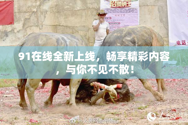 91在线全新上线，畅享精彩内容，与你不见不散！
