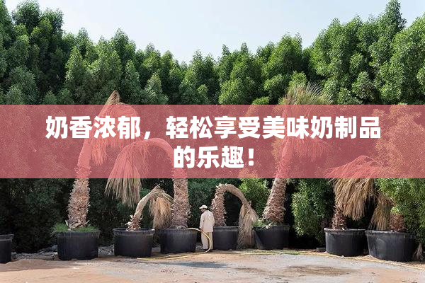 奶香浓郁，轻松享受美味奶制品的乐趣！