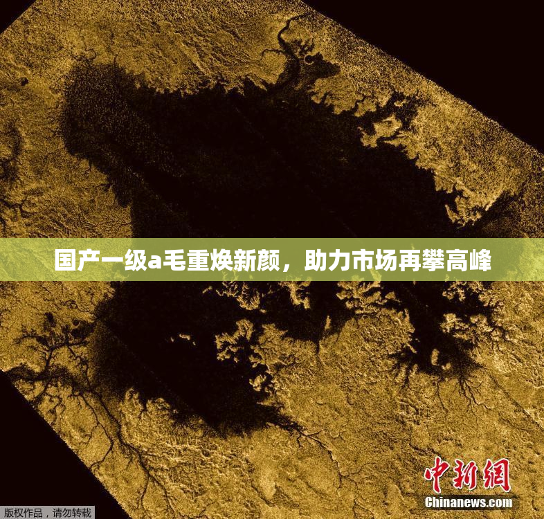 国产一级a毛重焕新颜，助力市场再攀高峰