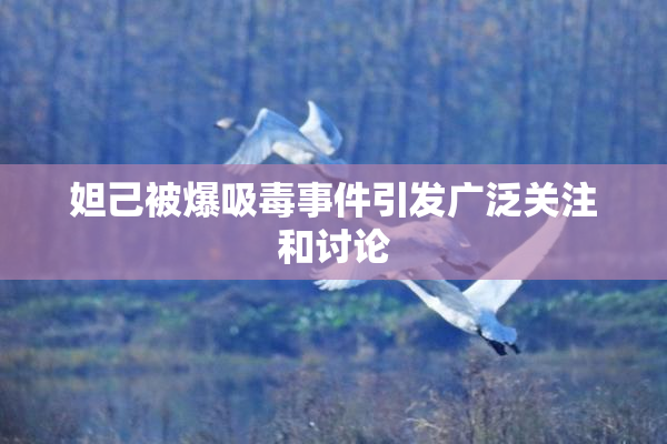妲己被爆吸毒事件引发广泛关注和讨论