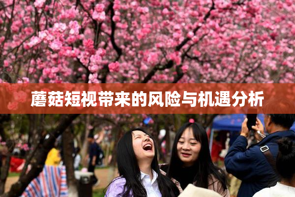 蘑菇短视带来的风险与机遇分析