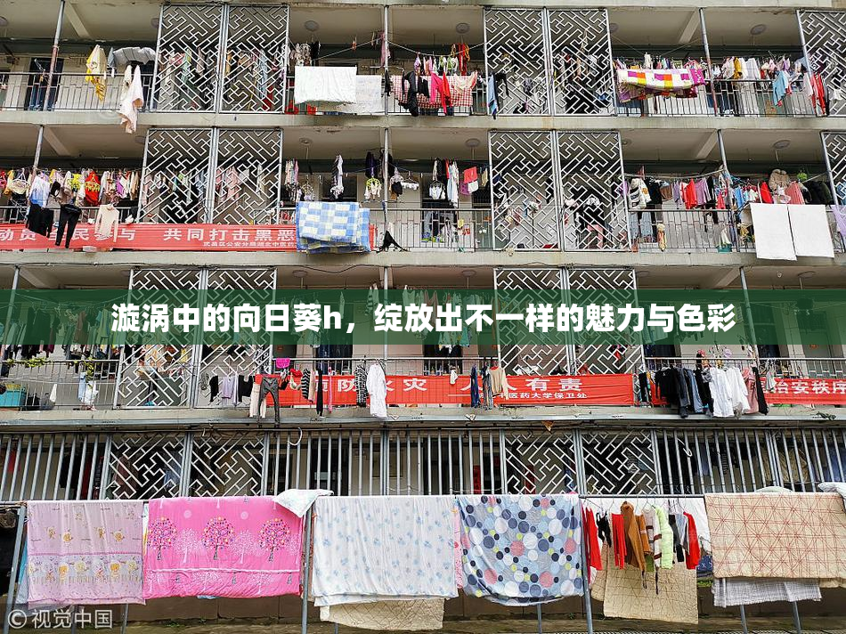 漩涡中的向日葵h，绽放出不一样的魅力与色彩