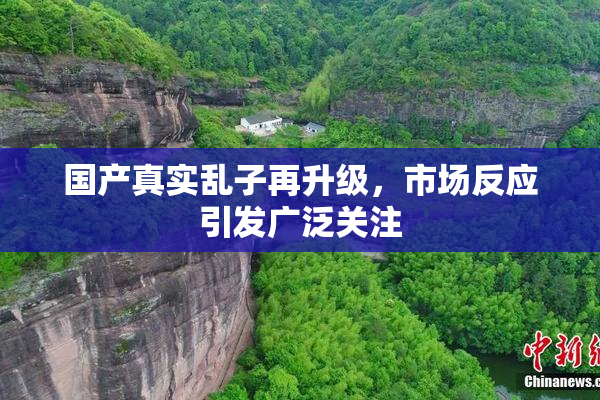 国产真实乱子再升级，市场反应引发广泛关注