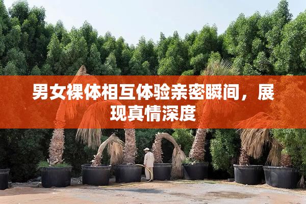 男女裸体相互体验亲密瞬间，展现真情深度