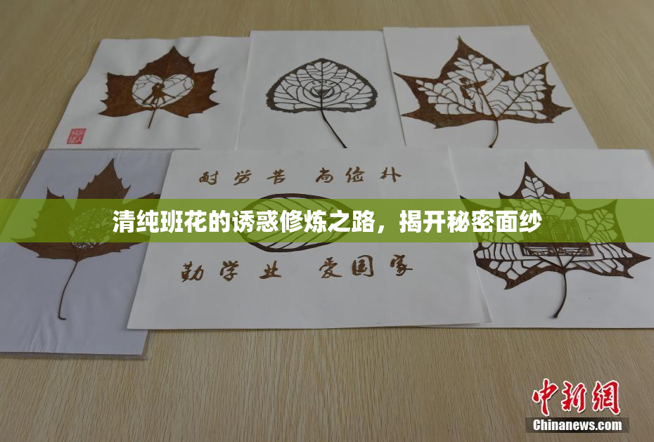 清纯班花的诱惑修炼之路，揭开秘密面纱