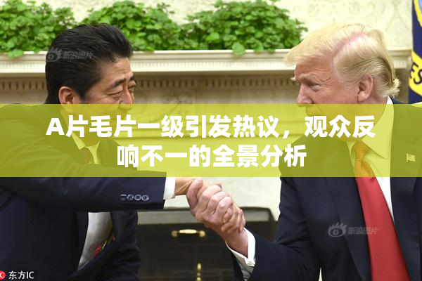 A片毛片一级引发热议，观众反响不一的全景分析