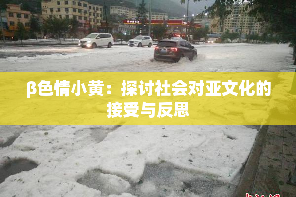 β色情小黄：探讨社会对亚文化的接受与反思