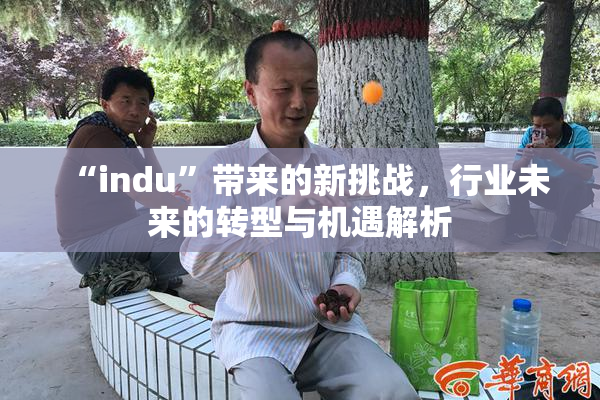 “indu”带来的新挑战，行业未来的转型与机遇解析