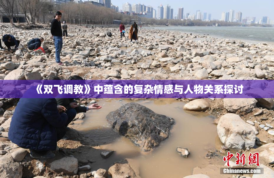 《双飞调教》中蕴含的复杂情感与人物关系探讨