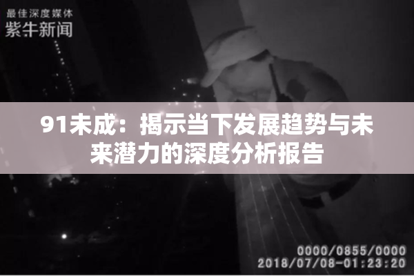 91未成：揭示当下发展趋势与未来潜力的深度分析报告
