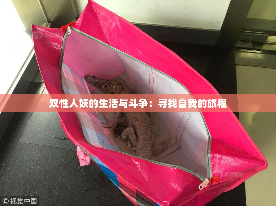 双性人妖的生活与斗争：寻找自我的旅程