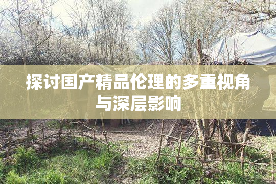 探讨国产精品伦理的多重视角与深层影响