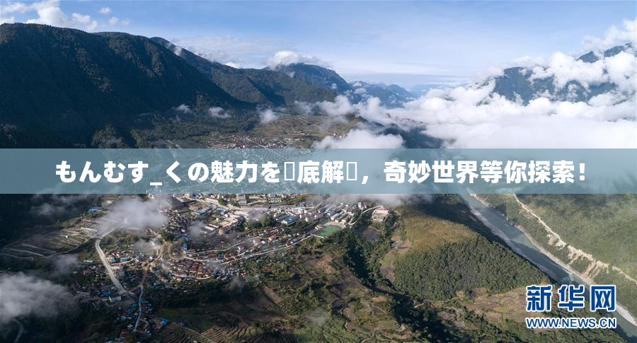 もんむす_くの魅力を徹底解説，奇妙世界等你探索！