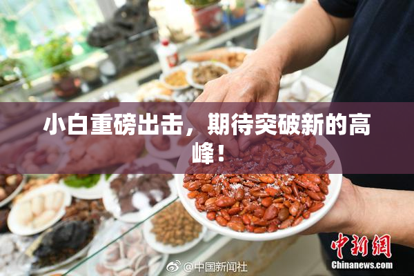 小白重磅出击，期待突破新的高峰！