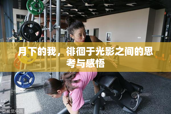 月下的我，徘徊于光影之间的思考与感悟