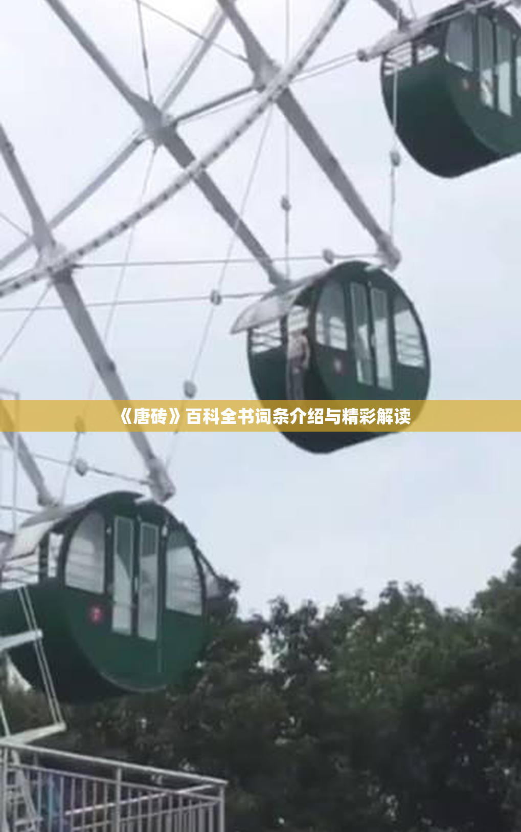 《唐砖》百科全书词条介绍与精彩解读