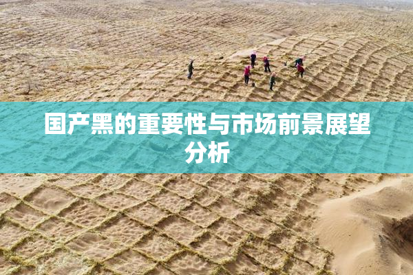 国产黑的重要性与市场前景展望分析