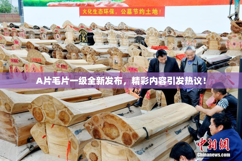 A片毛片一级全新发布，精彩内容引发热议！