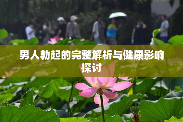男人勃起的完整解析与健康影响探讨