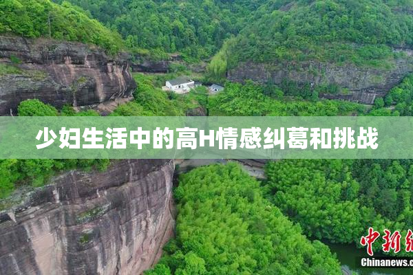 少妇生活中的高H情感纠葛和挑战