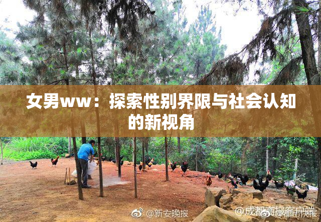 女男ww：探索性别界限与社会认知的新视角