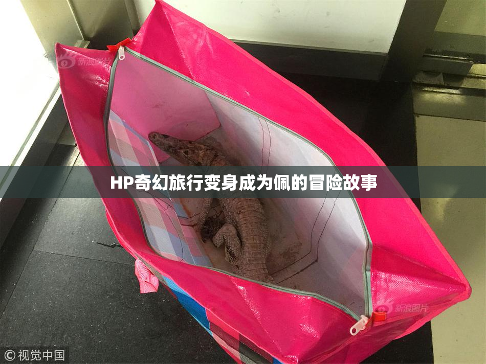 HP奇幻旅行变身成为佩的冒险故事
