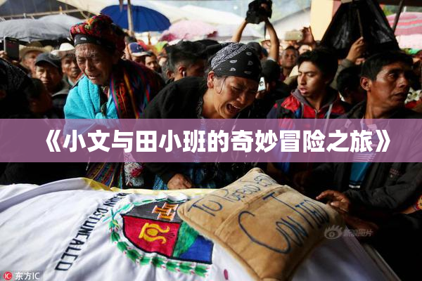 《小文与田小班的奇妙冒险之旅》