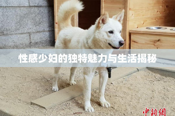 性感少妇的独特魅力与生活揭秘