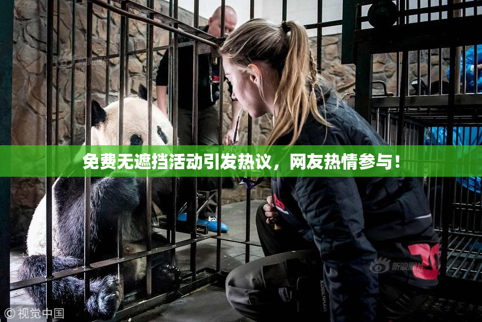 免费无遮挡活动引发热议，网友热情参与！
