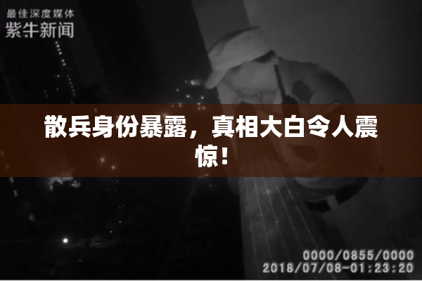 散兵身份暴露，真相大白令人震惊！