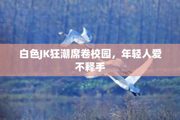 白色JK狂潮席卷校园，年轻人爱不释手