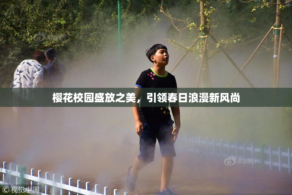 樱花校园盛放之美，引领春日浪漫新风尚