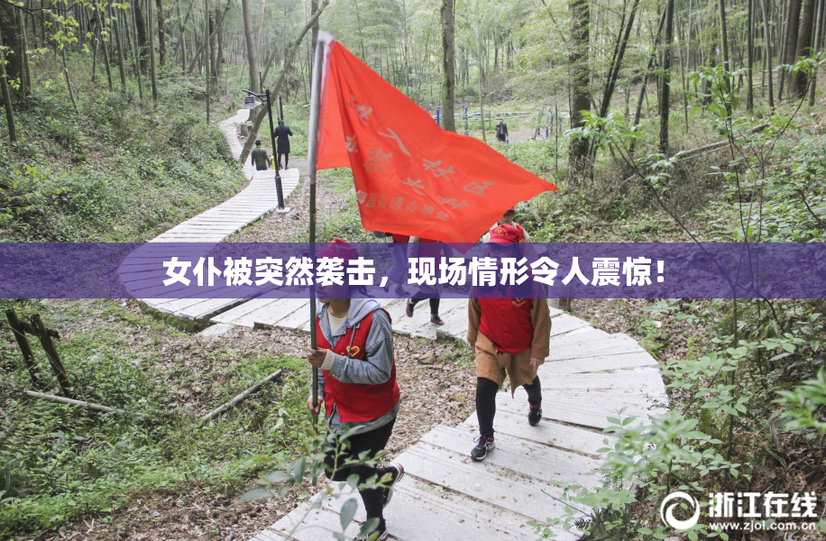 女仆被突然袭击，现场情形令人震惊！