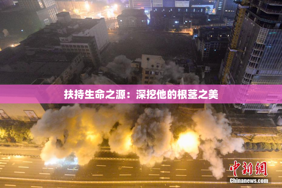 扶持生命之源：深挖他的根茎之美