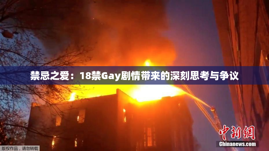 禁忌之爱：18禁Gay剧情带来的深刻思考与争议