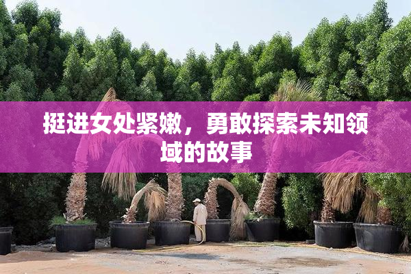 挺进女处紧嫩，勇敢探索未知领域的故事