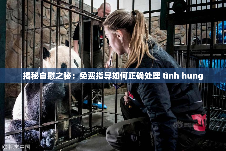揭秘自慰之秘：免费指导如何正确处理 tình hung