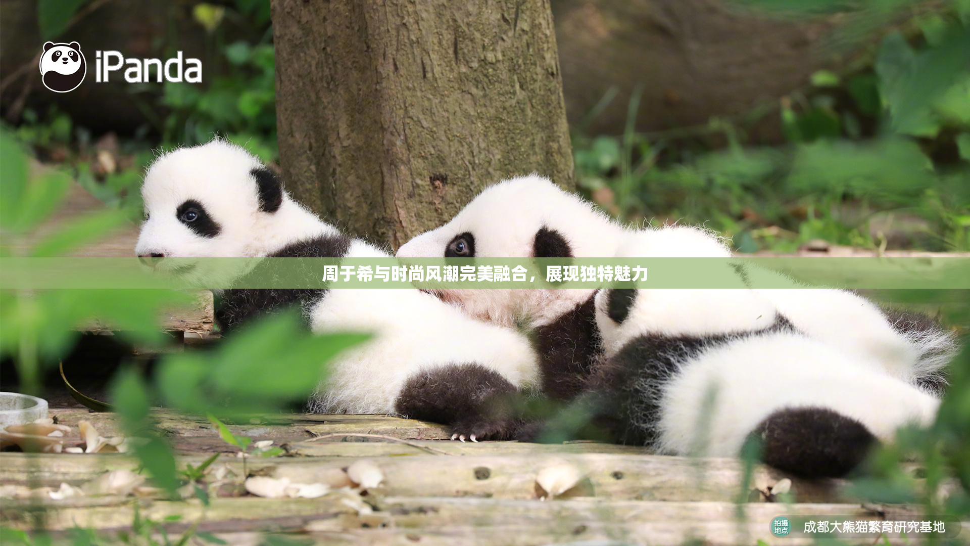 周于希与时尚风潮完美融合，展现独特魅力