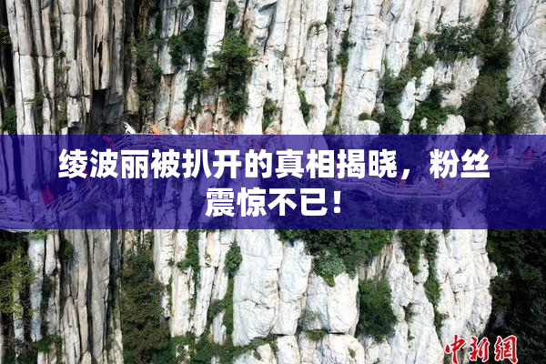 绫波丽被扒开的真相揭晓，粉丝震惊不已！