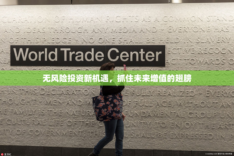 无风险投资新机遇，抓住未来增值的翅膀