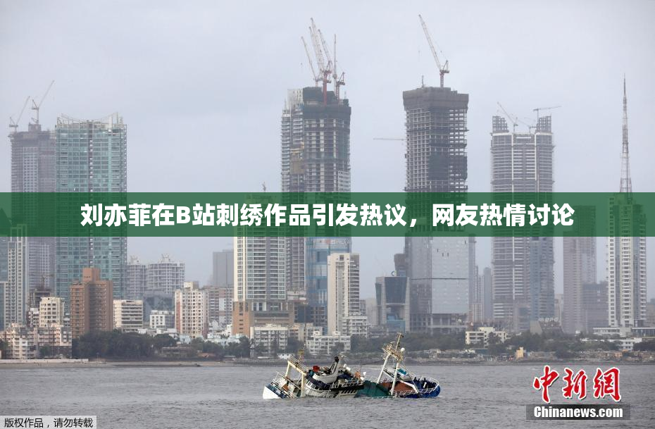 刘亦菲在B站刺绣作品引发热议，网友热情讨论