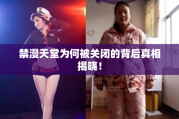 禁漫天堂为何被关闭的背后真相揭晓！
