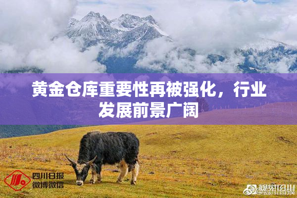 黄金仓库重要性再被强化，行业发展前景广阔