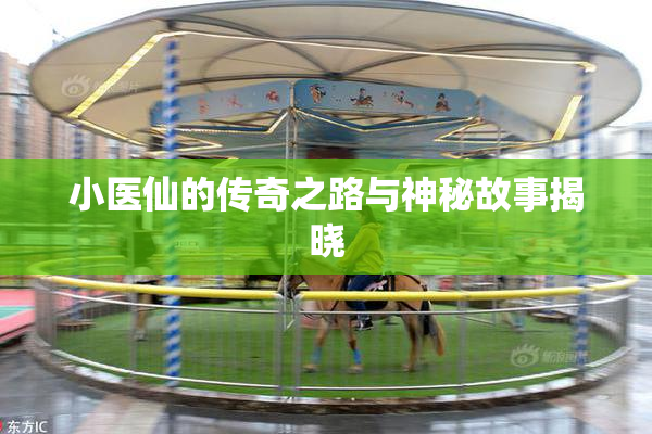 小医仙的传奇之路与神秘故事揭晓