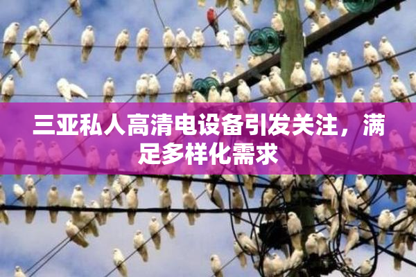 三亚私人高清电设备引发关注，满足多样化需求