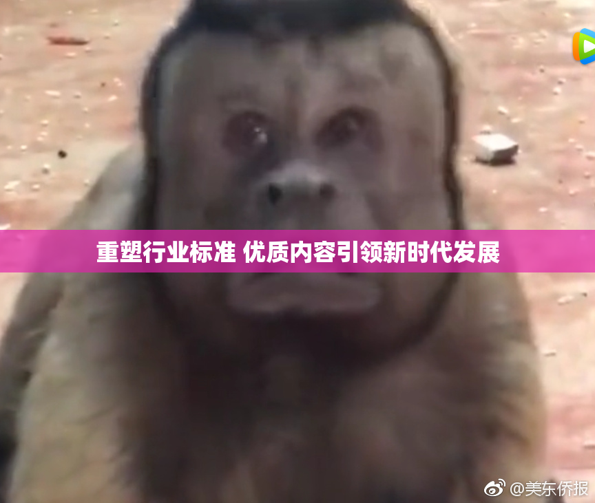 重塑行业标准 优质内容引领新时代发展