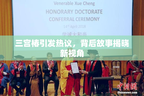三宫椿引发热议，背后故事揭晓新视角